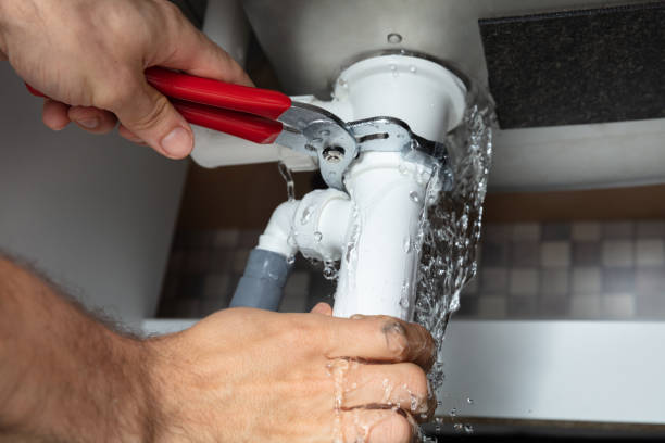 Best Flooded house restoration  in Columbia, SC
