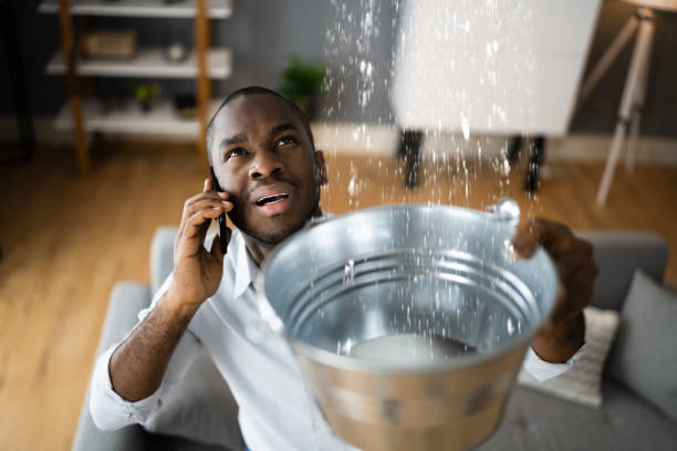 Best Sewage cleanup and water damage restoration  in Columbia, SC