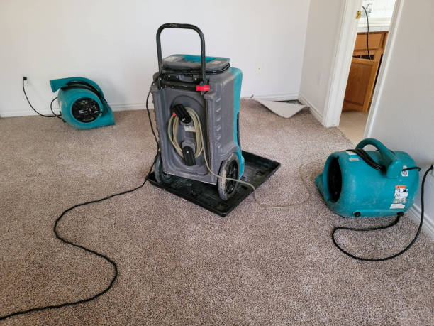 Best 24/7 water damage repair  in Columbia, SC