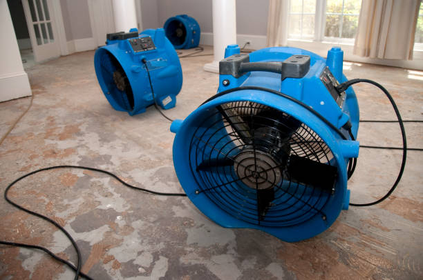 Best Flood damage cleanup  in Columbia, SC