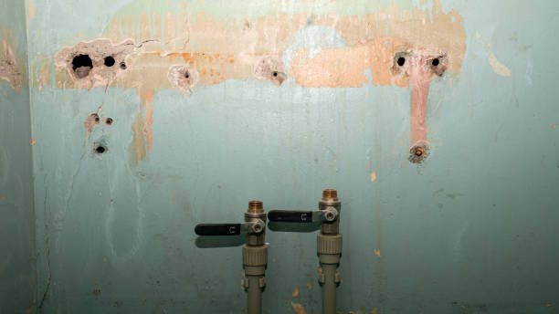 Best 24-hour water damage restoration  in Columbia, SC