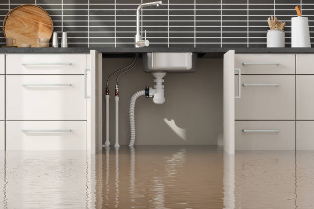  Columbia, SC Water damage restoration Pros