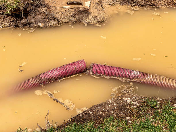 Best Water damage contractors near me  in Columbia, SC