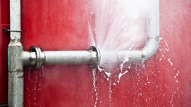 Best Water damage cleanup near me  in Columbia, SC